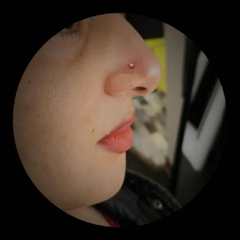 Piercing, Berck, LA GALERIE DES AIGUILLES